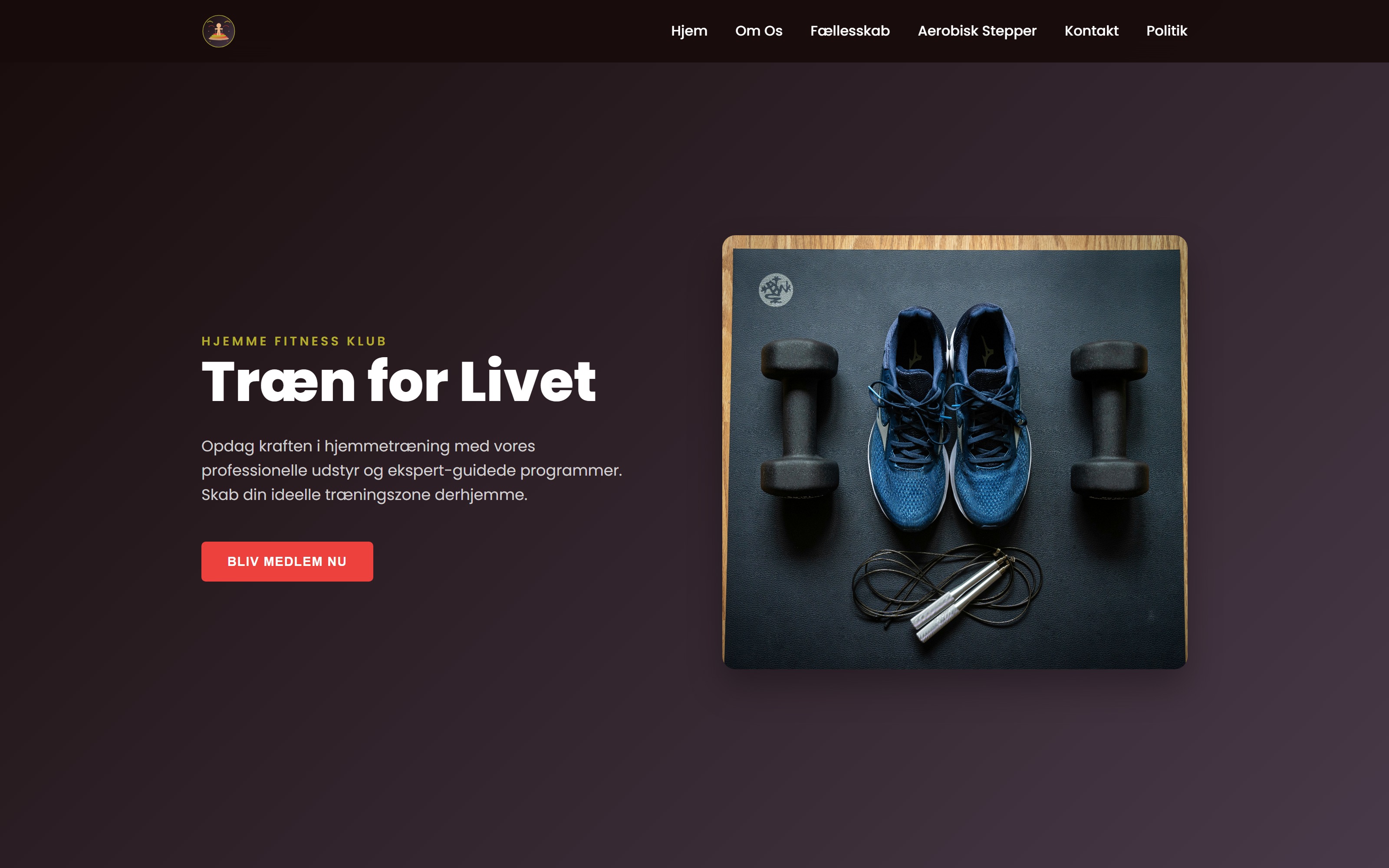 Obrathenova — landing preview